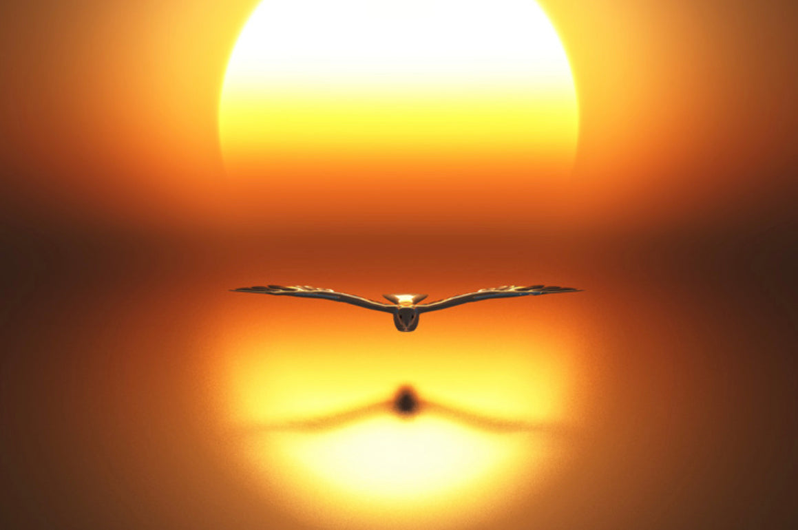As Above, So Below