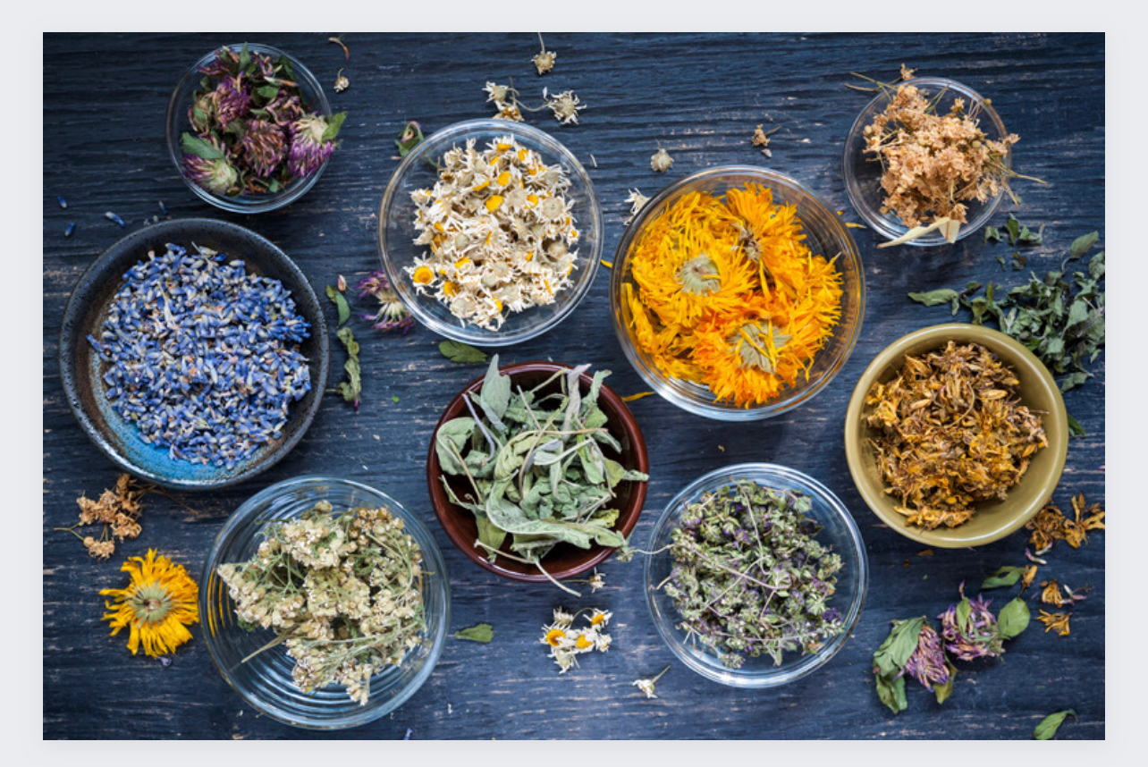 Why pray over herbs and roots for spiritual or medicinal use?